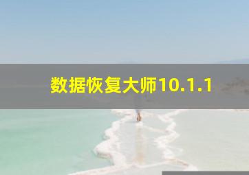 数据恢复大师10.1.1