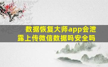 数据恢复大师app会泄露上传微信数据吗安全吗