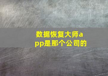 数据恢复大师app是那个公司的