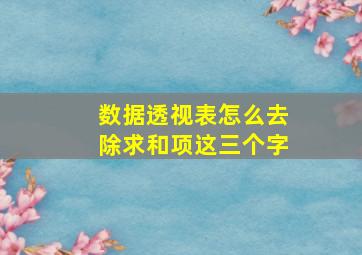 数据透视表怎么去除求和项这三个字