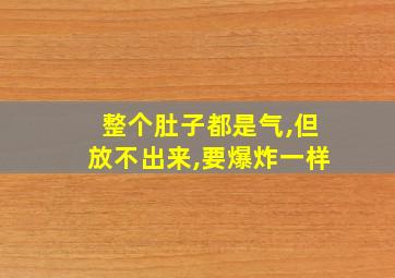 整个肚子都是气,但放不出来,要爆炸一样