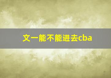 文一能不能进去cba