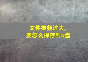 文件视频过大,要怎么保存到u盘