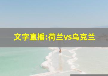 文字直播:荷兰vs乌克兰