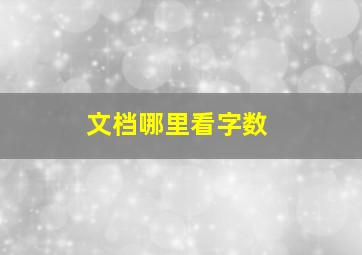 文档哪里看字数