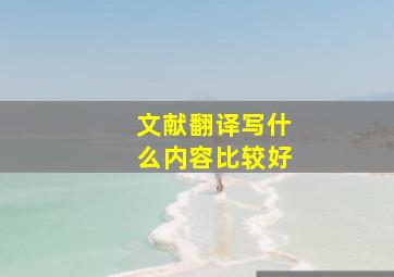 文献翻译写什么内容比较好