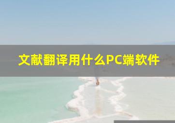 文献翻译用什么PC端软件