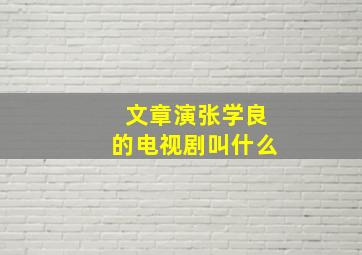 文章演张学良的电视剧叫什么