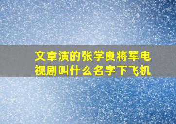 文章演的张学良将军电视剧叫什么名字下飞机