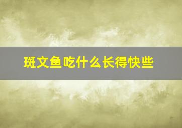 斑文鱼吃什么长得快些