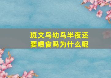 斑文鸟幼鸟半夜还要喂食吗为什么呢