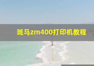 斑马zm400打印机教程