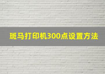 斑马打印机300点设置方法