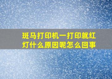 斑马打印机一打印就红灯什么原因呢怎么回事