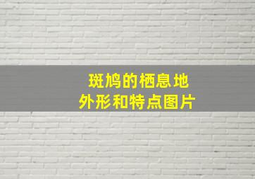 斑鸠的栖息地外形和特点图片