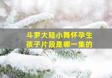 斗罗大陆小舞怀孕生孩子片段是哪一集的