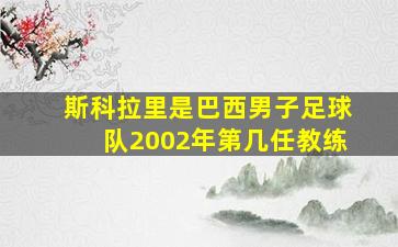 斯科拉里是巴西男子足球队2002年第几任教练