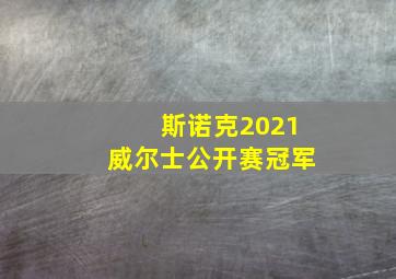 斯诺克2021威尔士公开赛冠军