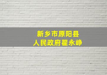 新乡市原阳县人民政府翟永峥