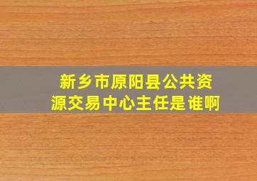 新乡市原阳县公共资源交易中心主任是谁啊