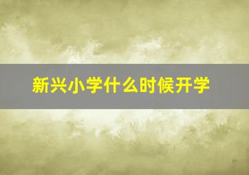 新兴小学什么时候开学