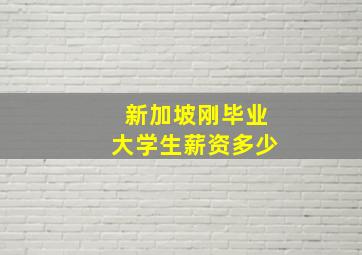 新加坡刚毕业大学生薪资多少