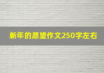 新年的愿望作文250字左右