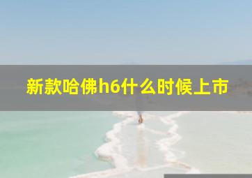 新款哈佛h6什么时候上市