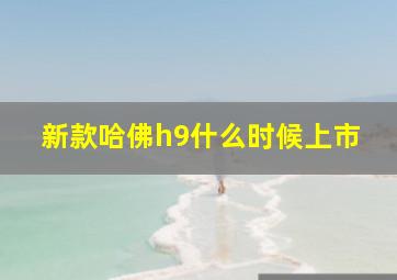 新款哈佛h9什么时候上市