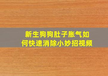 新生狗狗肚子胀气如何快速消除小妙招视频