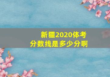 新疆2020体考分数线是多少分啊