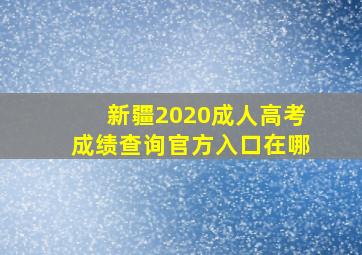 新疆2020成人高考成绩查询官方入口在哪