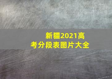 新疆2021高考分段表图片大全