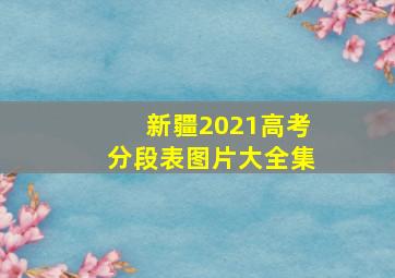 新疆2021高考分段表图片大全集