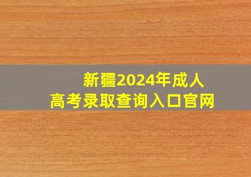 新疆2024年成人高考录取查询入口官网