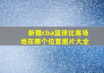 新疆cba篮球比赛场地在哪个位置图片大全