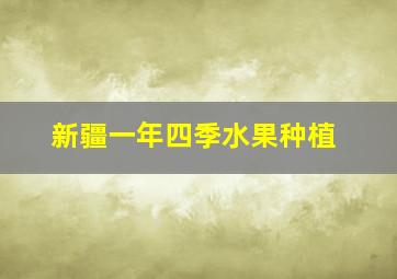 新疆一年四季水果种植