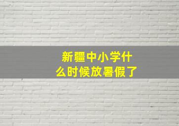 新疆中小学什么时候放暑假了