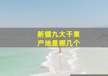 新疆九大干果产地是哪几个