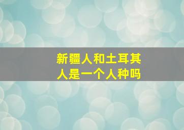 新疆人和土耳其人是一个人种吗