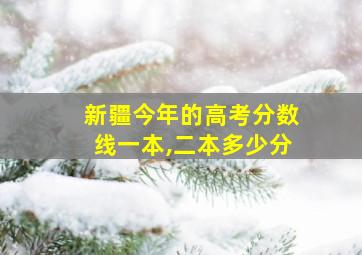 新疆今年的高考分数线一本,二本多少分