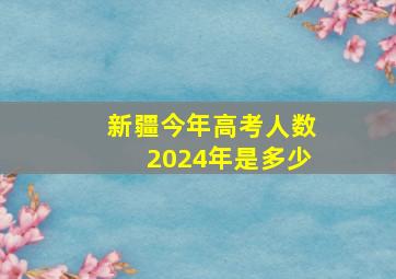 新疆今年高考人数2024年是多少