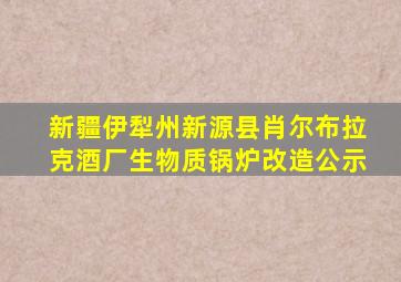 新疆伊犁州新源县肖尔布拉克酒厂生物质锅炉改造公示