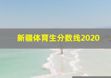 新疆体育生分数线2020