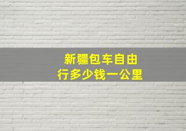 新疆包车自由行多少钱一公里