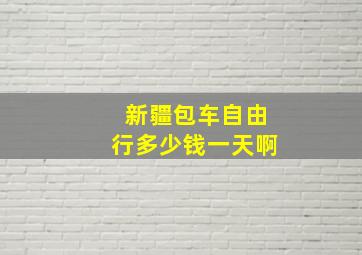 新疆包车自由行多少钱一天啊