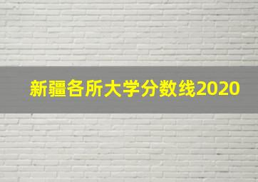 新疆各所大学分数线2020