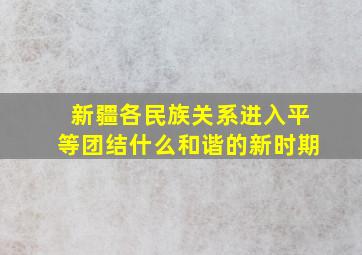 新疆各民族关系进入平等团结什么和谐的新时期