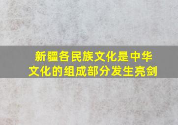 新疆各民族文化是中华文化的组成部分发生亮剑