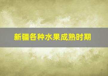 新疆各种水果成熟时期